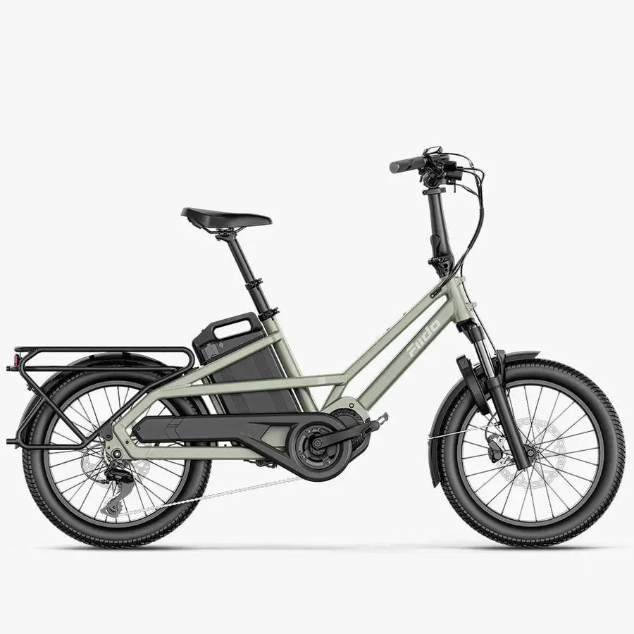 Fiido T3 Family Cargo Electric Bike front product view in Ireland