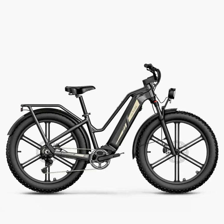 Fiido Titan Fat Tyre Touring Electric Bike front product view in Ireland