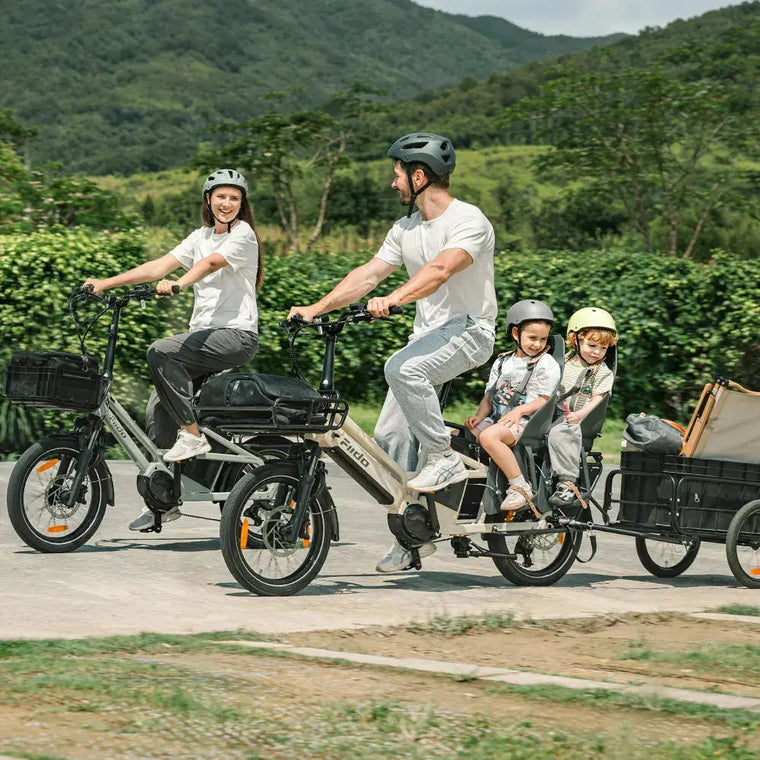 Fiido T3 Max Longtail Cargo Electric Bike rider view in Ireland