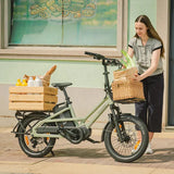 Fiido T3 Family Cargo Electric Bike features overview in Ireland
