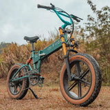 Fiido M1 Pro Fat Tyre Electric Bike detail view in Ireland