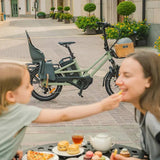 Fiido T3 Family Cargo Electric Bike detail view in Ireland