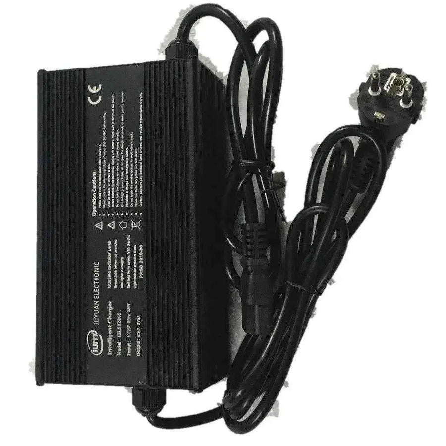 The Lifty Electric Fun 67.2V 5A Fast Charger