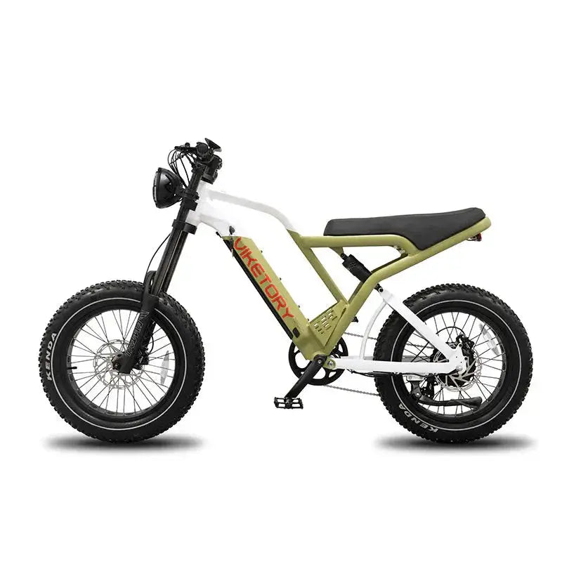 COMMANDO Fat-Bike - The Lifty Electric
