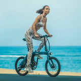 Fiido D11 Folding Electric Bike features overview in Ireland