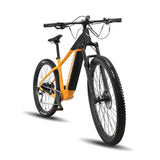 ROKTAR +Plus ebike MTB - The Lifty Electric