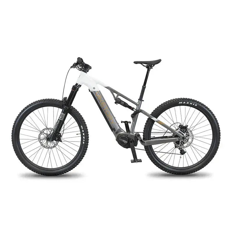 TERRAM MTB eBike - The Lifty Electric