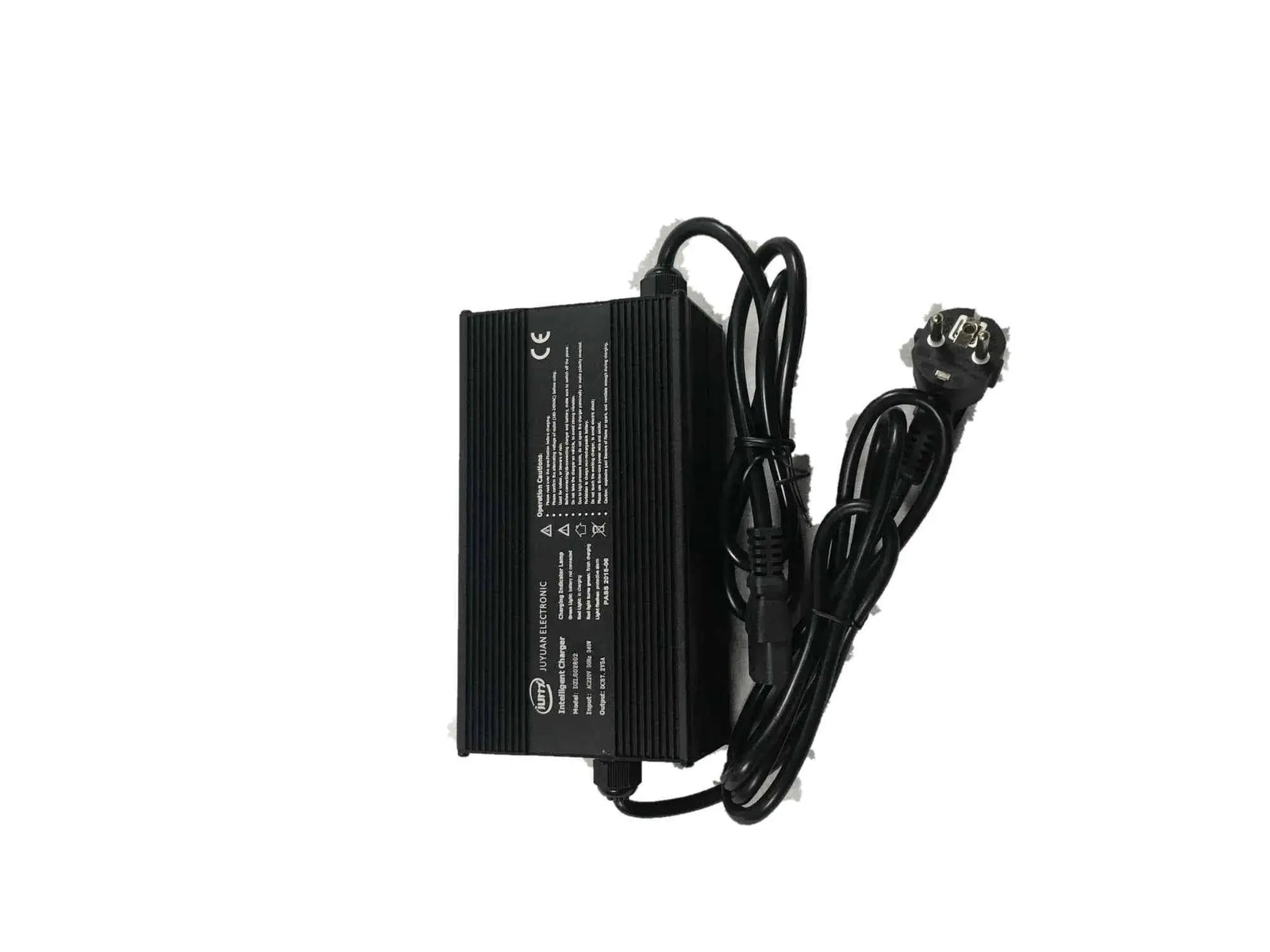 Fast Charger 67.2V 5A The Lifty Electric Road Aluminum - The Lifty Electric