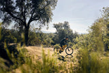 Giant Fathom E+ 2 - The Lifty Electric