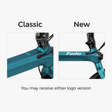 Fiido X 2025 Folding Electric Bike features overview in Ireland